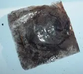DSCF2427.webp