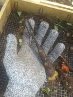 20161016_125411.webp