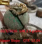 DocBeav 2016 Gold Ring #21.webp