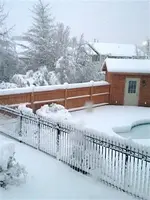 snow.webp