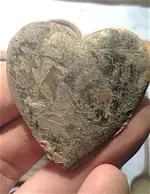 heart.webp
