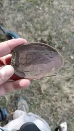 US Box Plate.webp