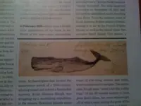 Smithsonianphoto.jpeg.webp
