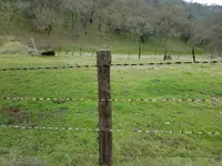 1481198981147.webp