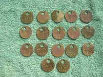 DSCN3335.webp