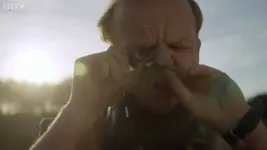 maxresdefault.webp maxresdefault.webp