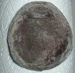DSCF2480.webp