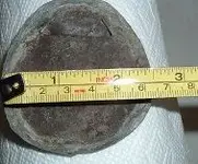 DSCF2483.webp