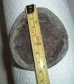 DSCF2484.webp