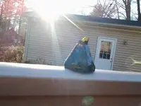 20161119_143028.webp
