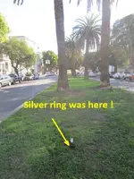 Palm Tree median #12 003.webp