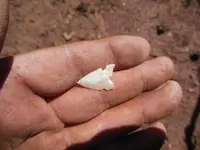 DSCN2449.webp
