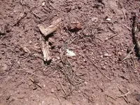 DSCN2448.webp