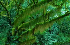 DSCN1152.webp