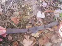 IMG_0004.webp IMG_0004.webp