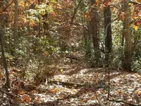 Resized_20161107_111522.webp Resized_20161107_111522.webp