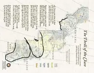 horses head and foot and side face.webp
