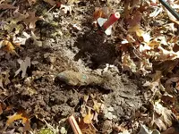 Resized_20161107_122613.webp