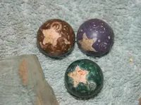 DSCN2644.webp