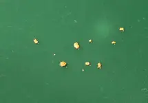 gold-left-in-oil-pan.webp