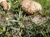 Untitled - 5.webp Untitled - 5.webp