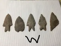 Waynes Points.webp