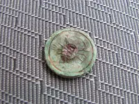 backmark 002.webp