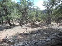 DSCN2441.webp
