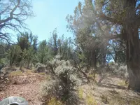 DSCN2450.webp