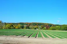IMG_20161019_111244.webp