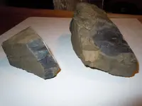 Wells Flint.webp