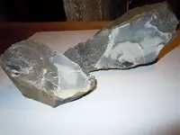 Wells Flint 3.webp