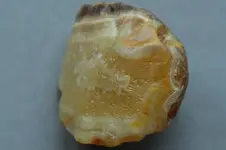 Agate-2016-10-28-Img_2477SS.webp