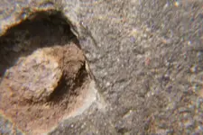 amphrockcarving7.webp