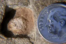 amphrockcarving1.webp