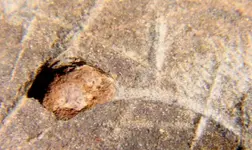 amphrockcarving4crop.webp