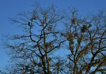DSCN1423.webp