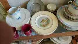 img20161120_045330.webp