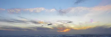 DSCN1460.webp