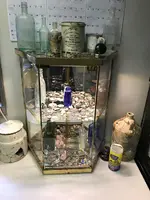 ImageUploadedByTreasureNet.com1480563738.714200.webp