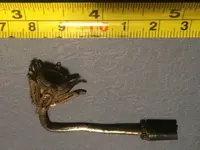 ImageUploadedByTreasureNet.com1480564258.688399.webp