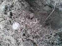 CAM00878.webp