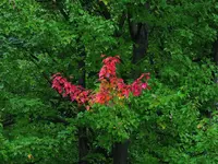 DSCN0015.webp DSCN0015.webp
