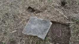 1476396541834.webp