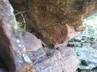 IMG_20161104_103019c.webp