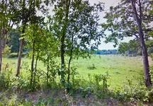 Lyndhurst Settlement Site 001.webp