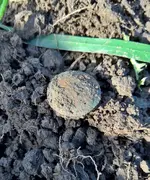Wacker Microsoft Camera 2016 026.webp
