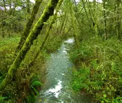 DSCN1222.webp