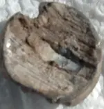 DSCF2475.webp