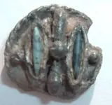DSCF2486.webp